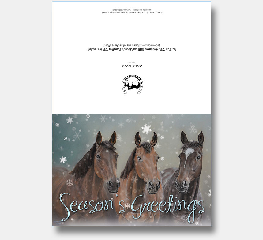 Meon Valley Stud artwork