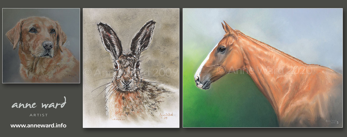Anne Ward artist commissioned paintings